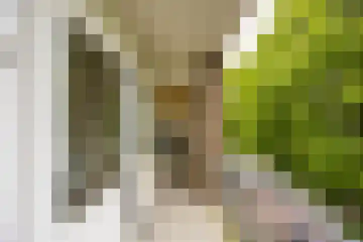 Vondellaan 344 Groningen thumbnail 26