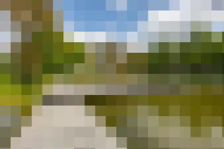 Vondellaan 344 Groningen thumbnail 30