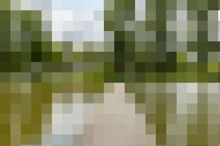Vondellaan 344 Groningen thumbnail 31