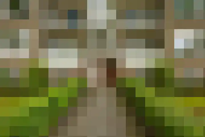Vondellaan 344 Groningen thumbnail 4