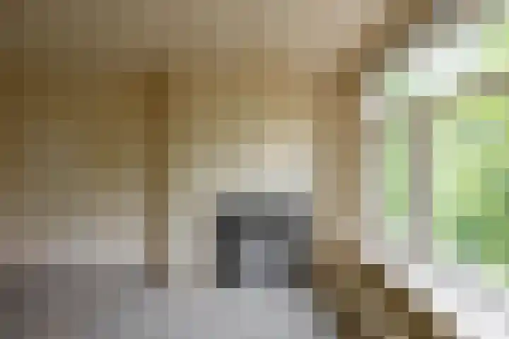Vondellaan 344 Groningen thumbnail 9