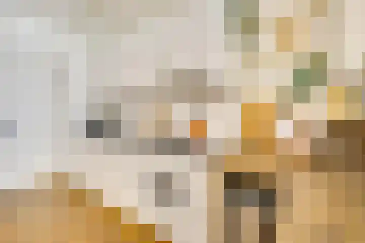 Vondellaan 35 A Utrecht thumbnail 11
