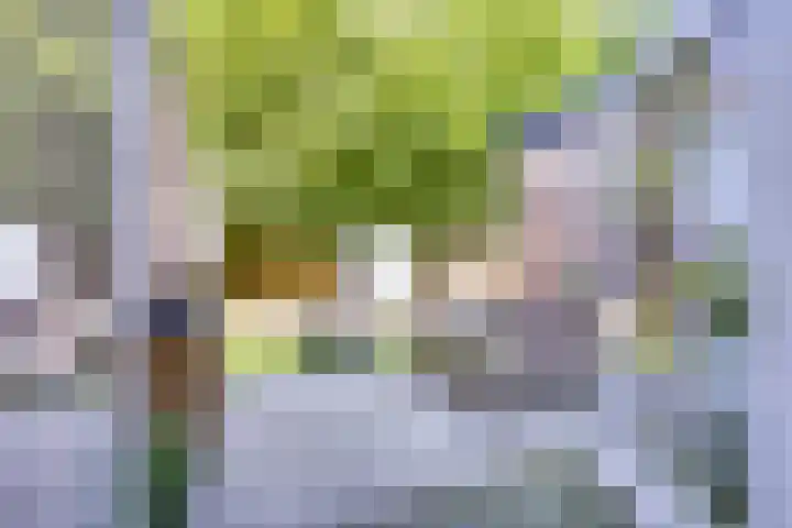 Vondellaan 35 A Utrecht thumbnail 16