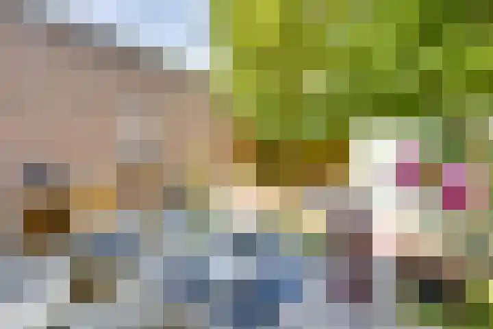 Vondellaan 35 A Utrecht thumbnail 17