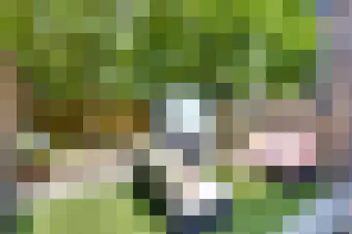 Vondellaan 35 A Utrecht thumbnail 19