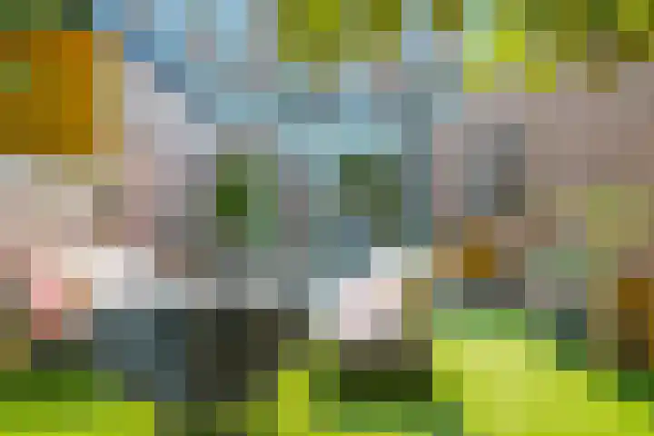 Vondellaan 35 A Utrecht thumbnail 20