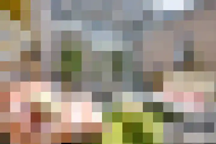 Vondellaan 35 A Utrecht thumbnail 21