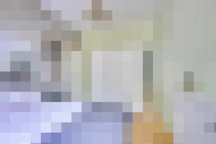 Vondellaan 35 A Utrecht thumbnail 23
