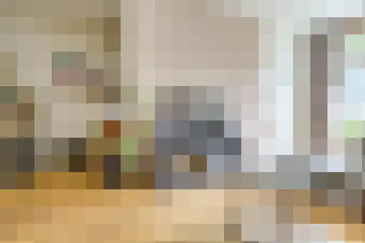Vondellaan 35 A Utrecht thumbnail 6