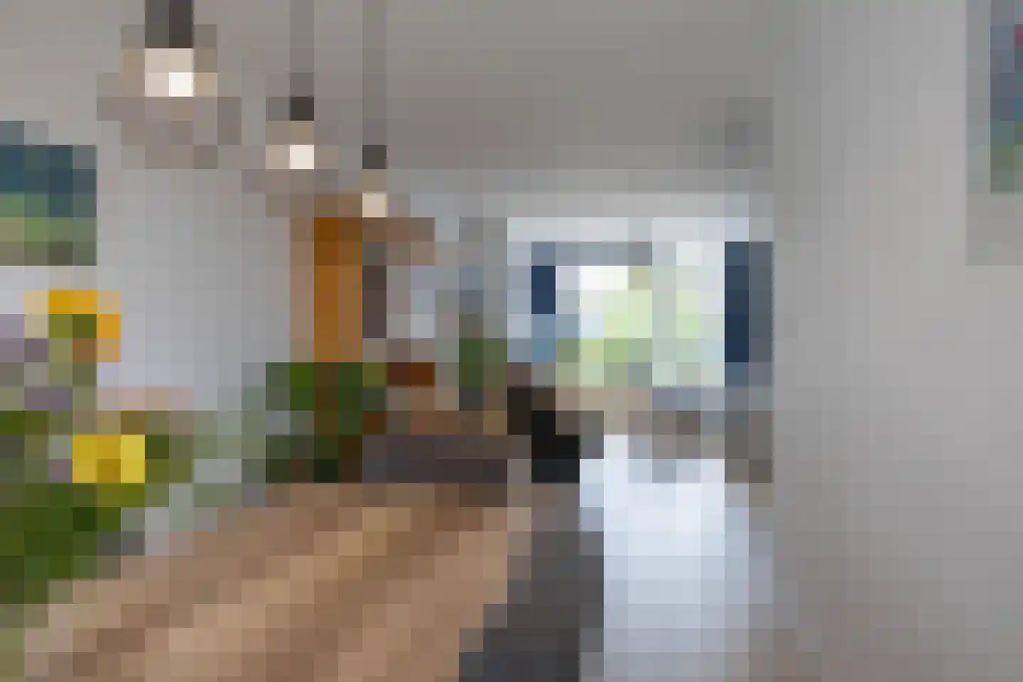 Vondellaan 35 Groningen thumbnail 17
