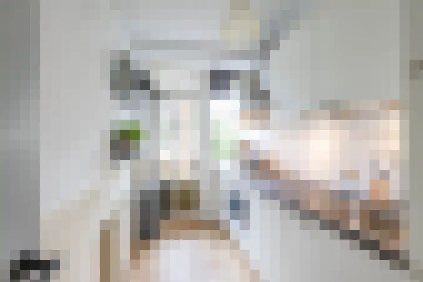 Vondellaan 35 Groningen thumbnail 19
