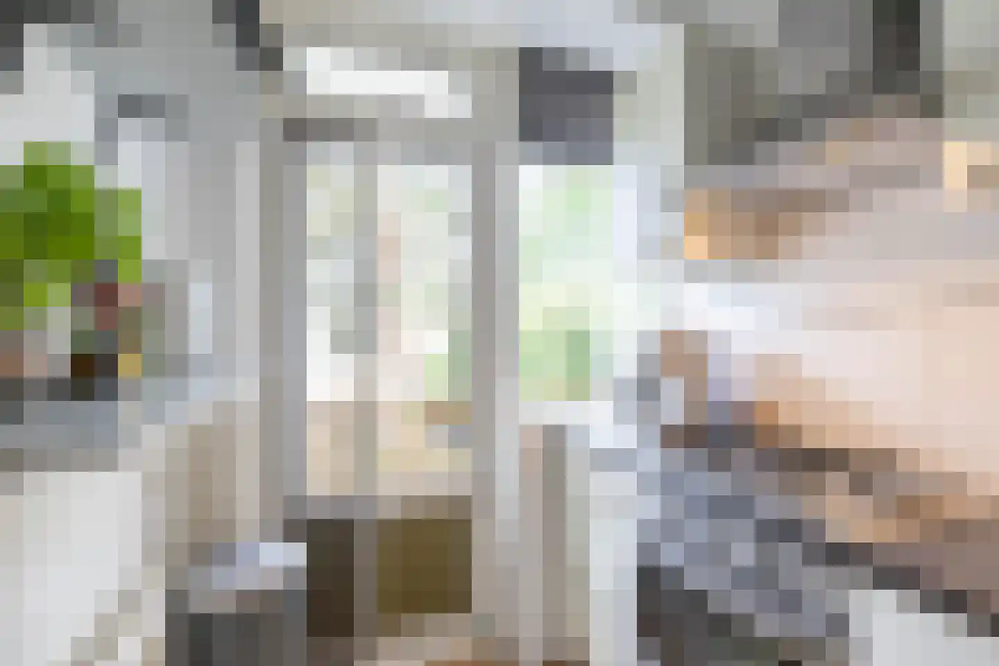 Vondellaan 35 Groningen thumbnail 20