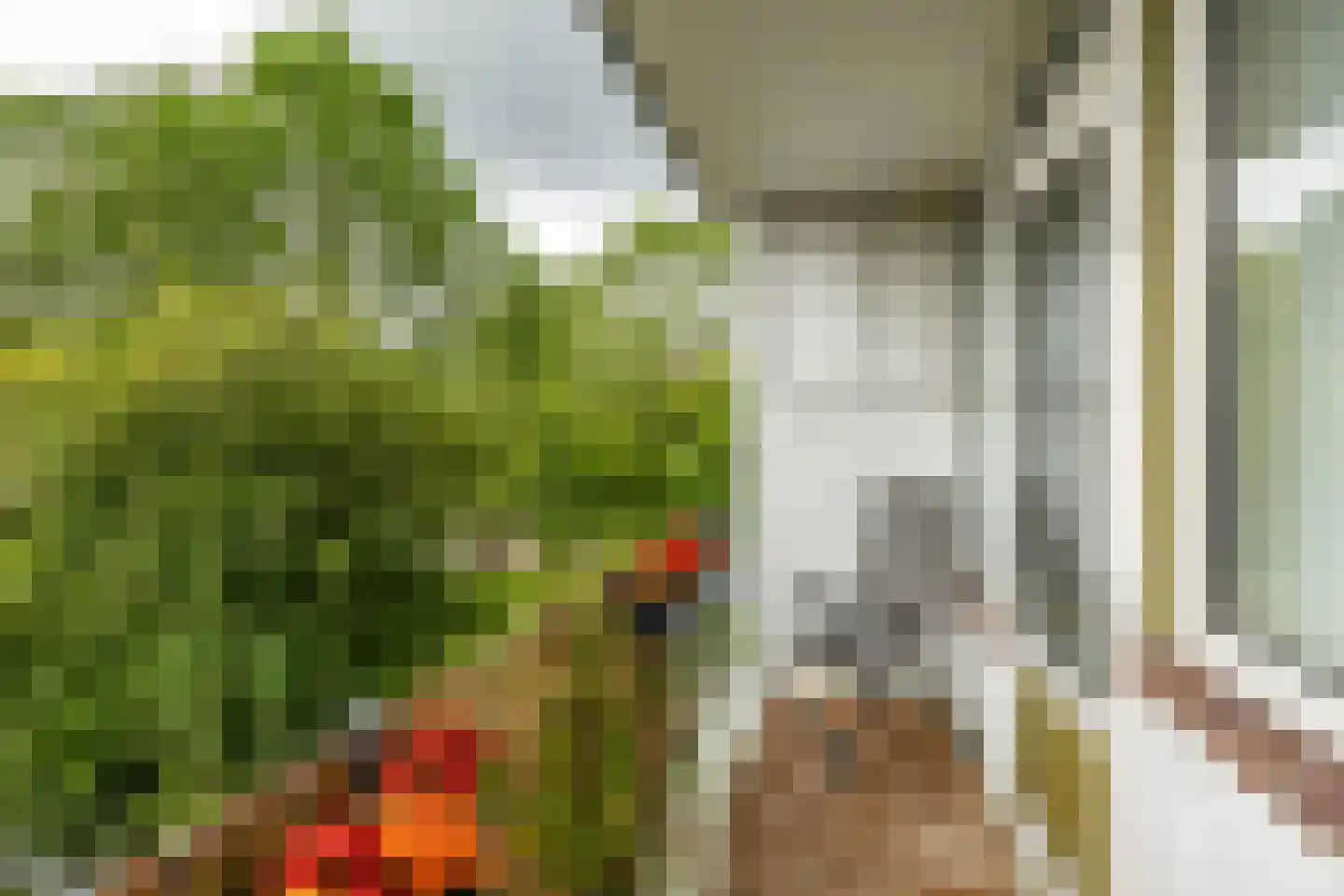 Vondellaan 35 Groningen thumbnail 23