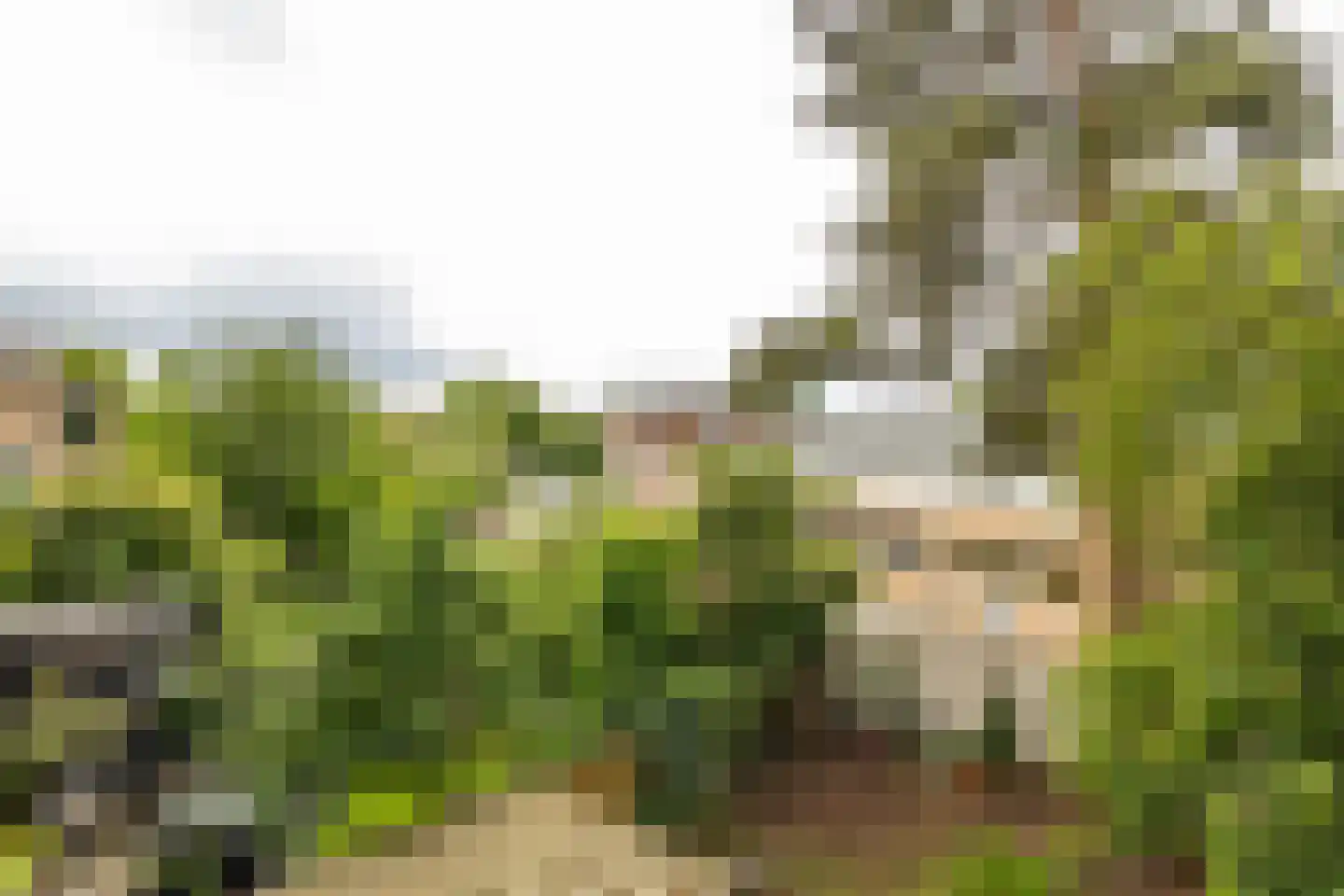 Vondellaan 35 Groningen thumbnail 24