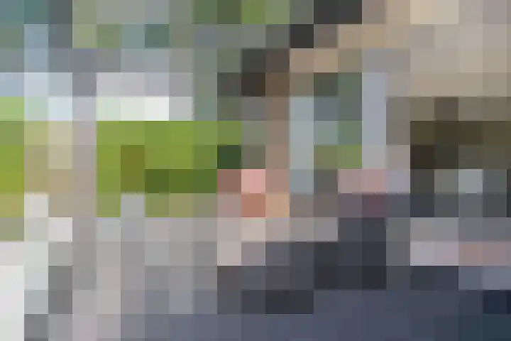 Vondellaan 36 Veenendaal thumbnail 34