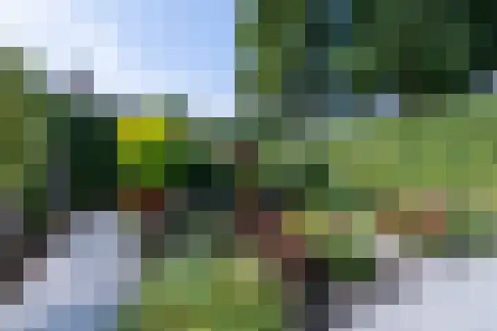 Vondellaan 36 Veenendaal thumbnail 36