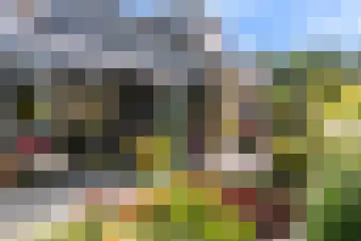 Vondellaan 36 Veenendaal thumbnail 37