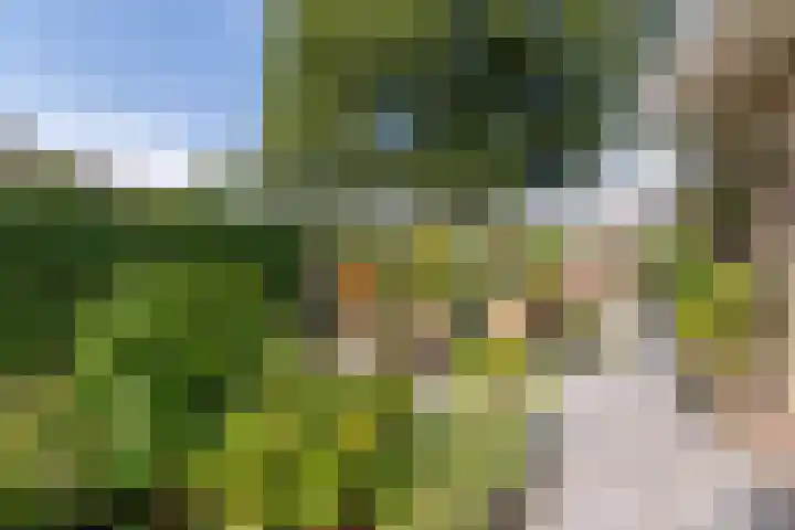 Vondellaan 36 Veenendaal thumbnail 39