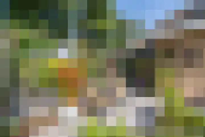 Vondellaan 36 Veenendaal thumbnail 40