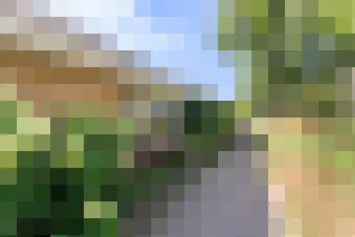 Vondellaan 36 Veenendaal thumbnail 42