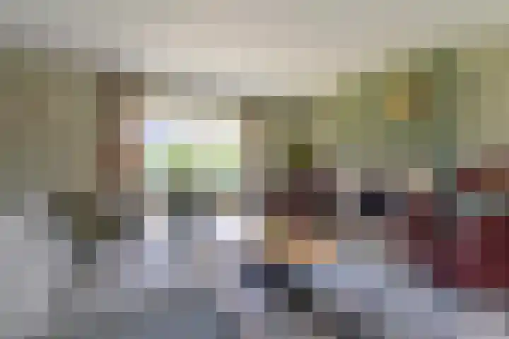 Vondellaan 36 Veenendaal thumbnail 6