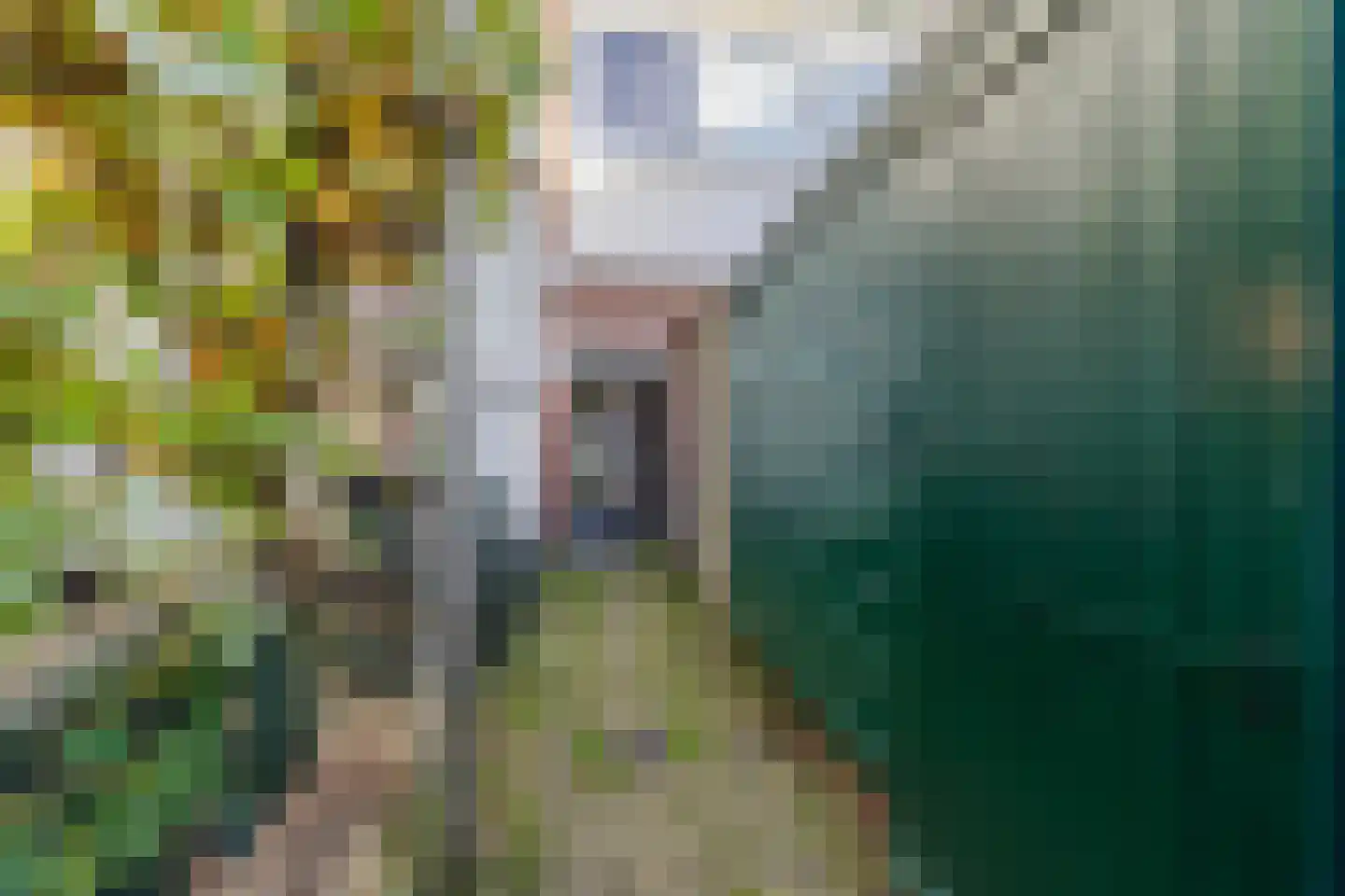 Vondellaan 37 A Schiedam thumbnail 44