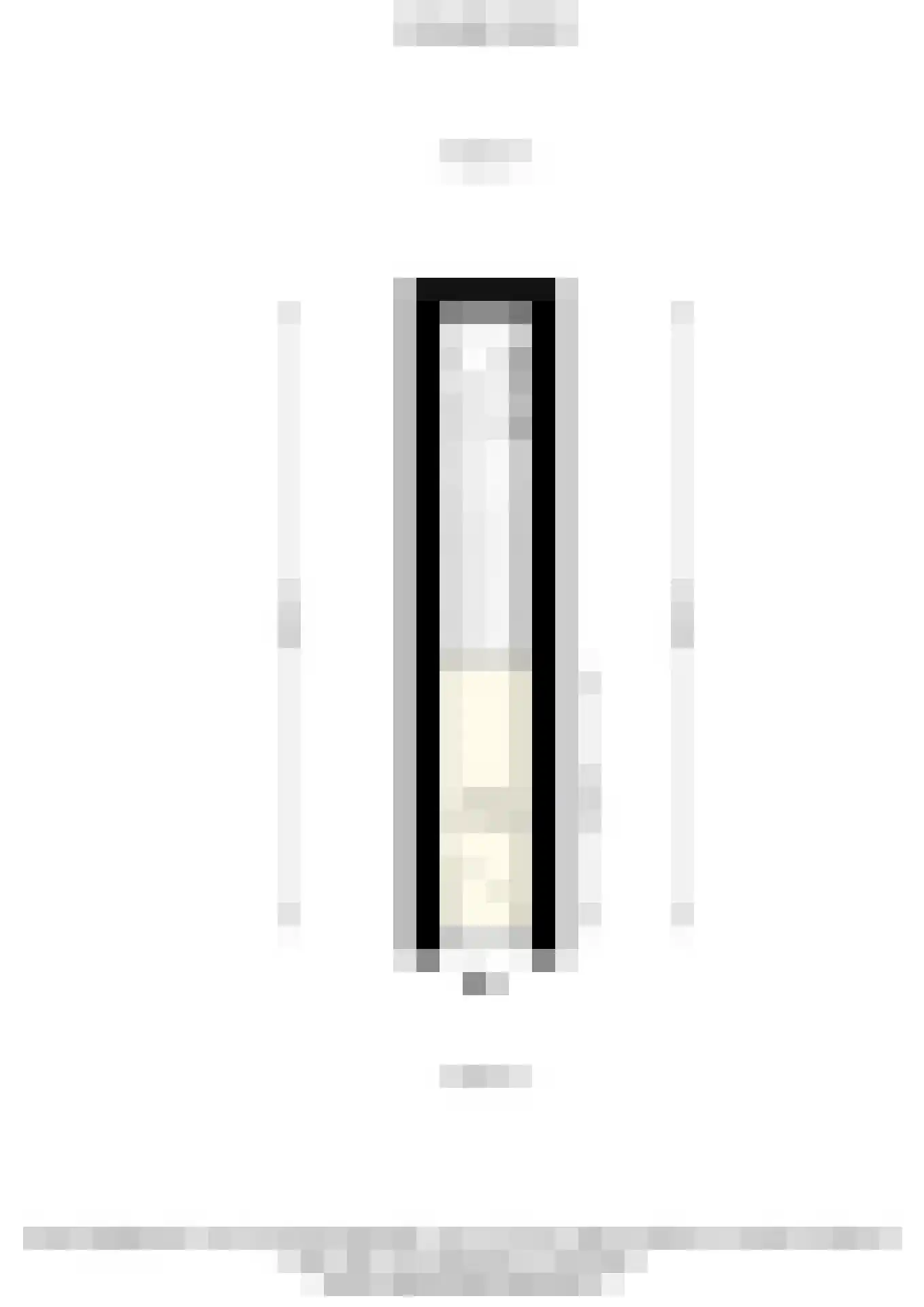 Vondellaan 37 A Schiedam thumbnail 49