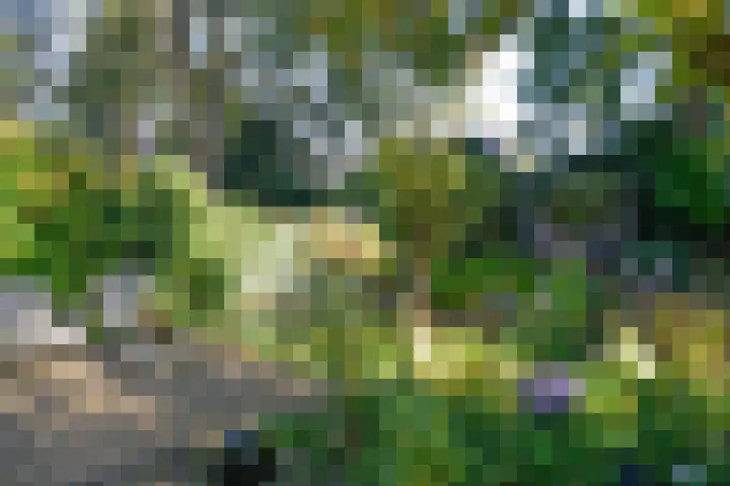 Vondellaan 37 Baarn thumbnail 27