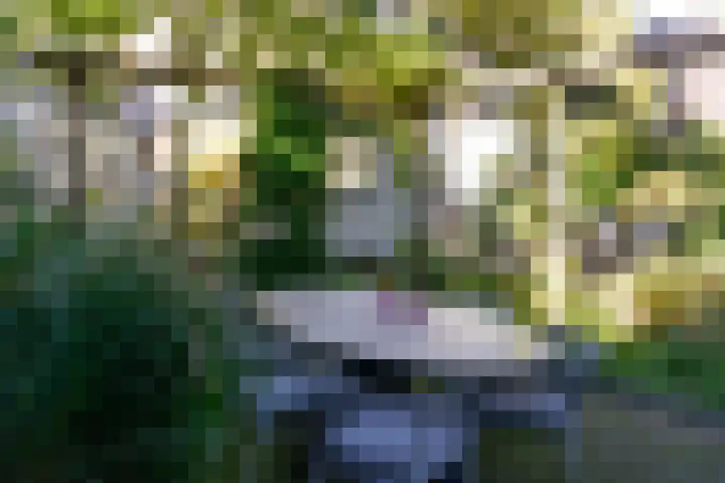 Vondellaan 37 Baarn thumbnail 28