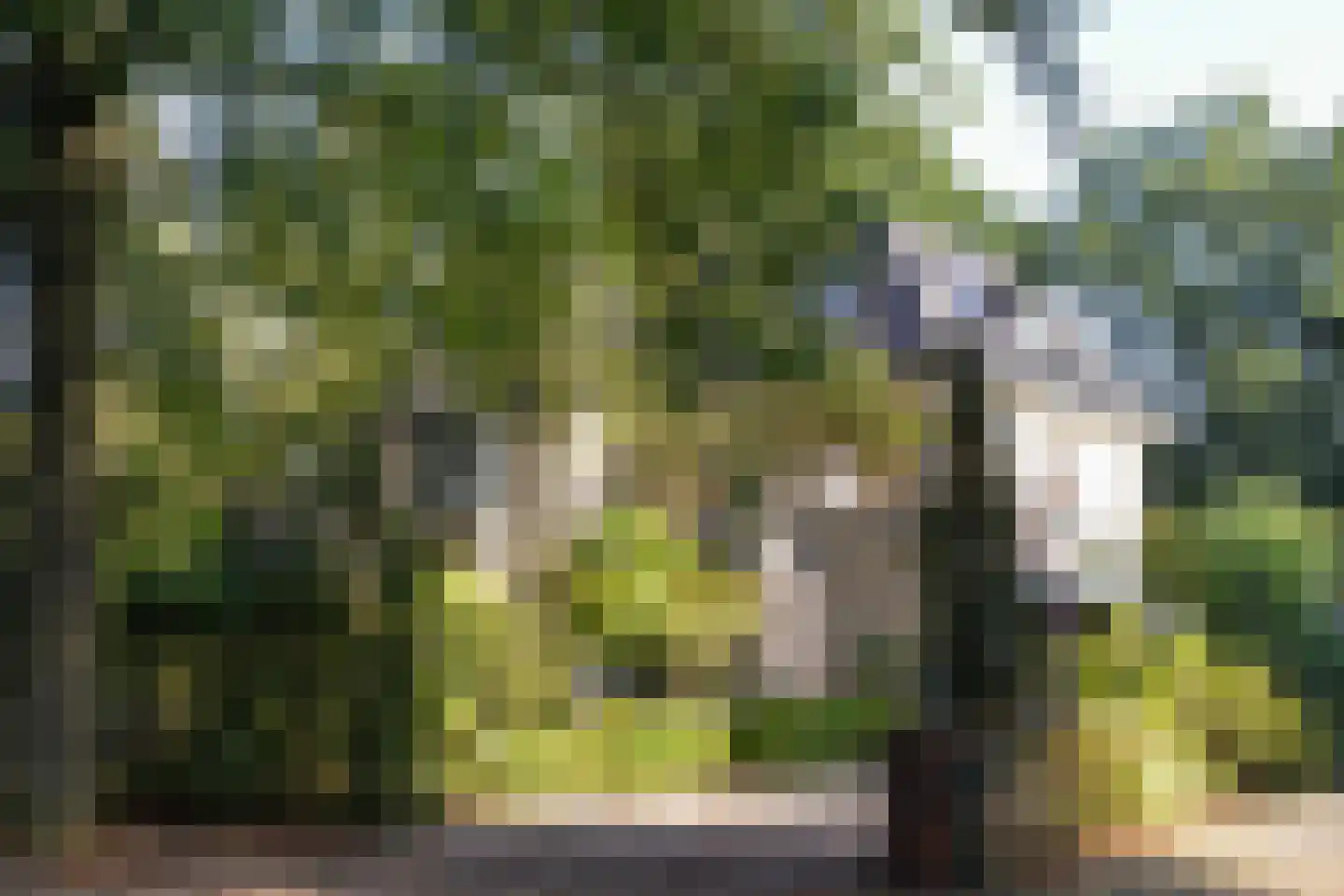 Vondellaan 37 Baarn thumbnail 32