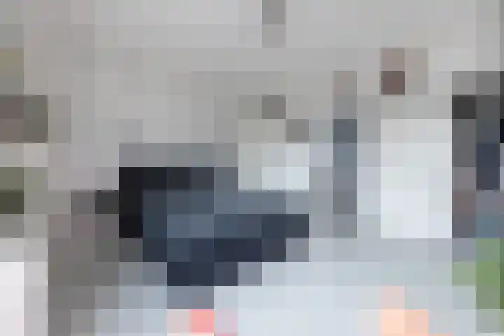 Vondellaan 37 Rijswijk thumbnail 18