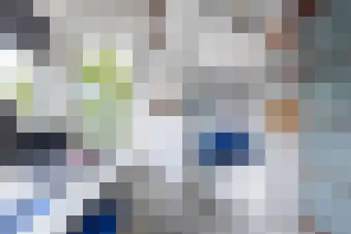 Vondellaan 37 Rijswijk thumbnail 22