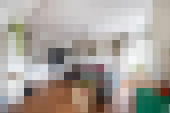 Vondellaan 37 Rijswijk thumbnail 9