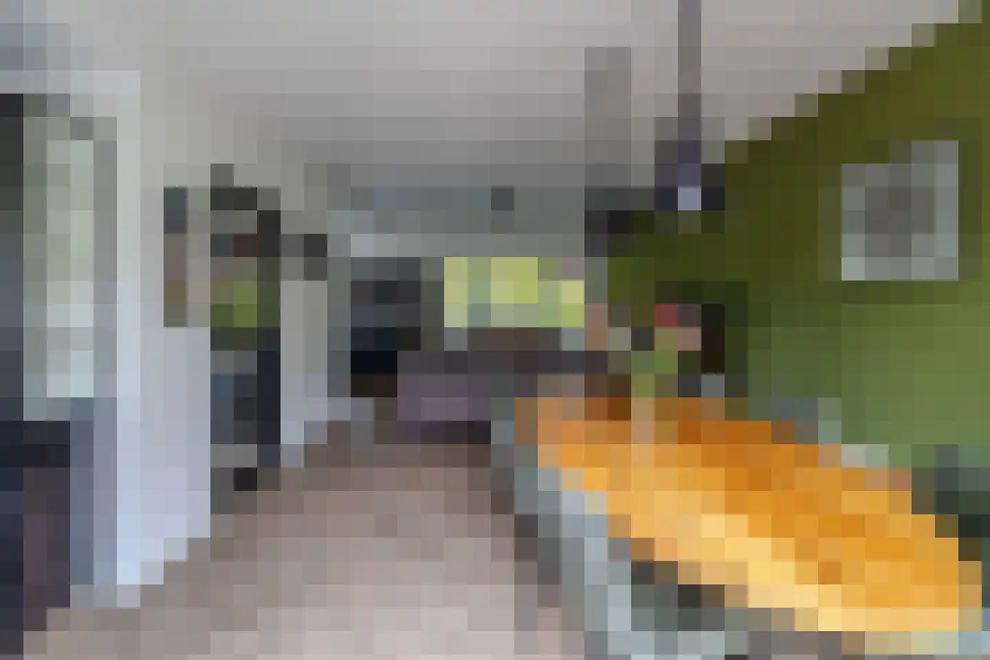 Vondellaan 38 Arnhem thumbnail 10