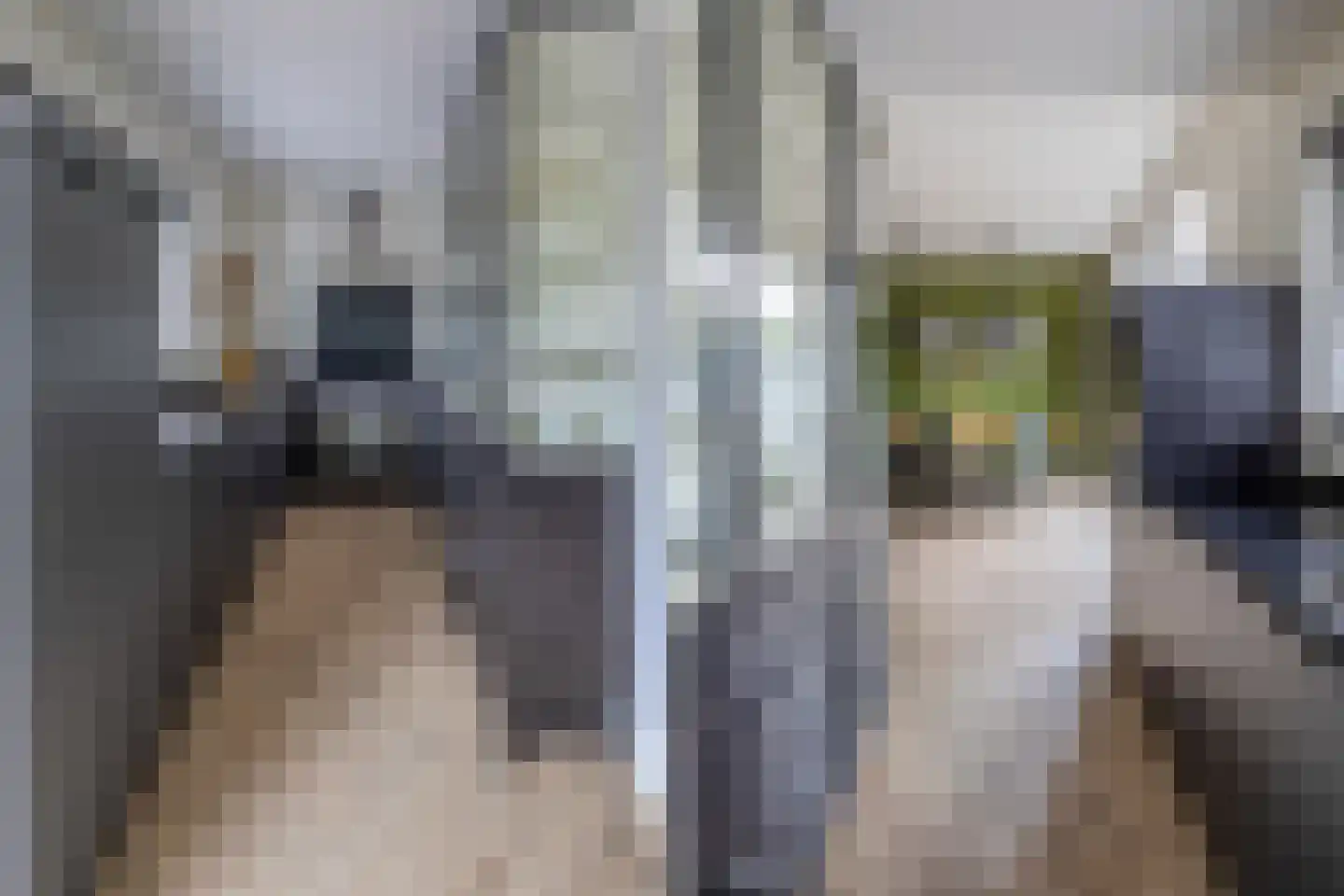 Vondellaan 38 Arnhem thumbnail 12