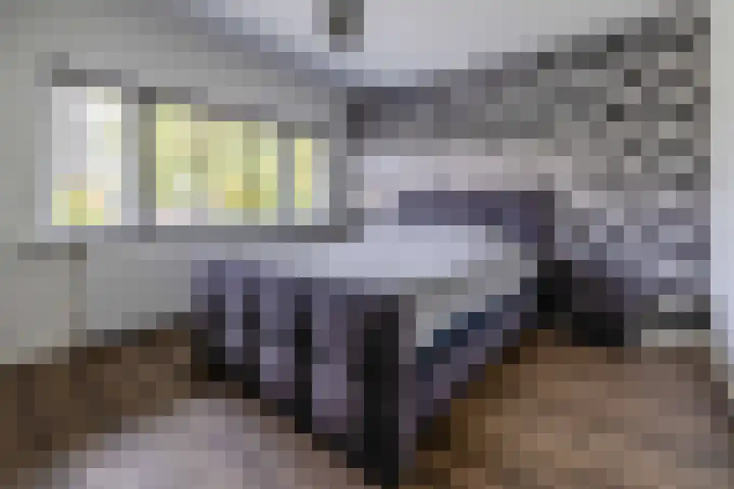 Vondellaan 38 Arnhem thumbnail 17