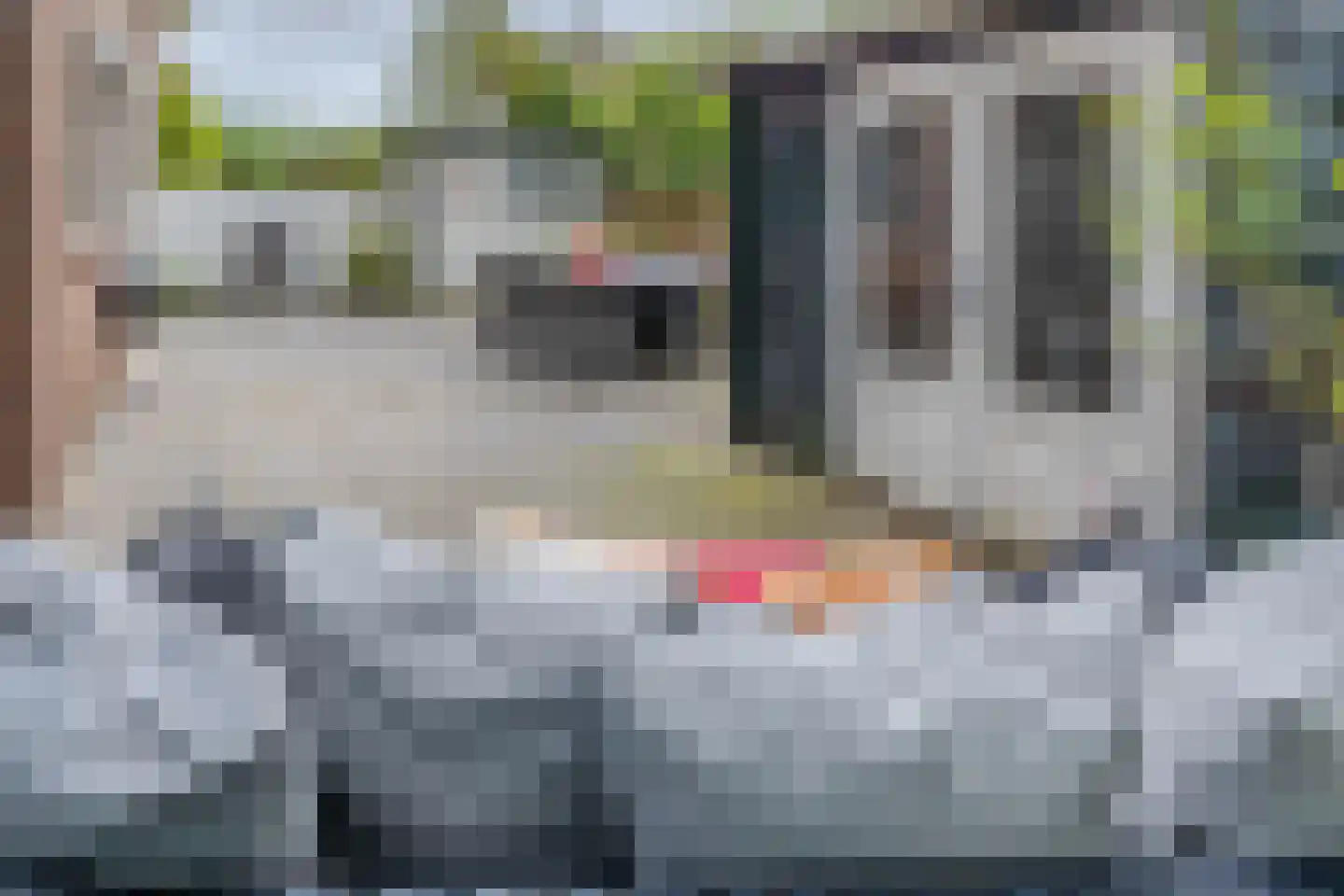 Vondellaan 38 Arnhem thumbnail 30