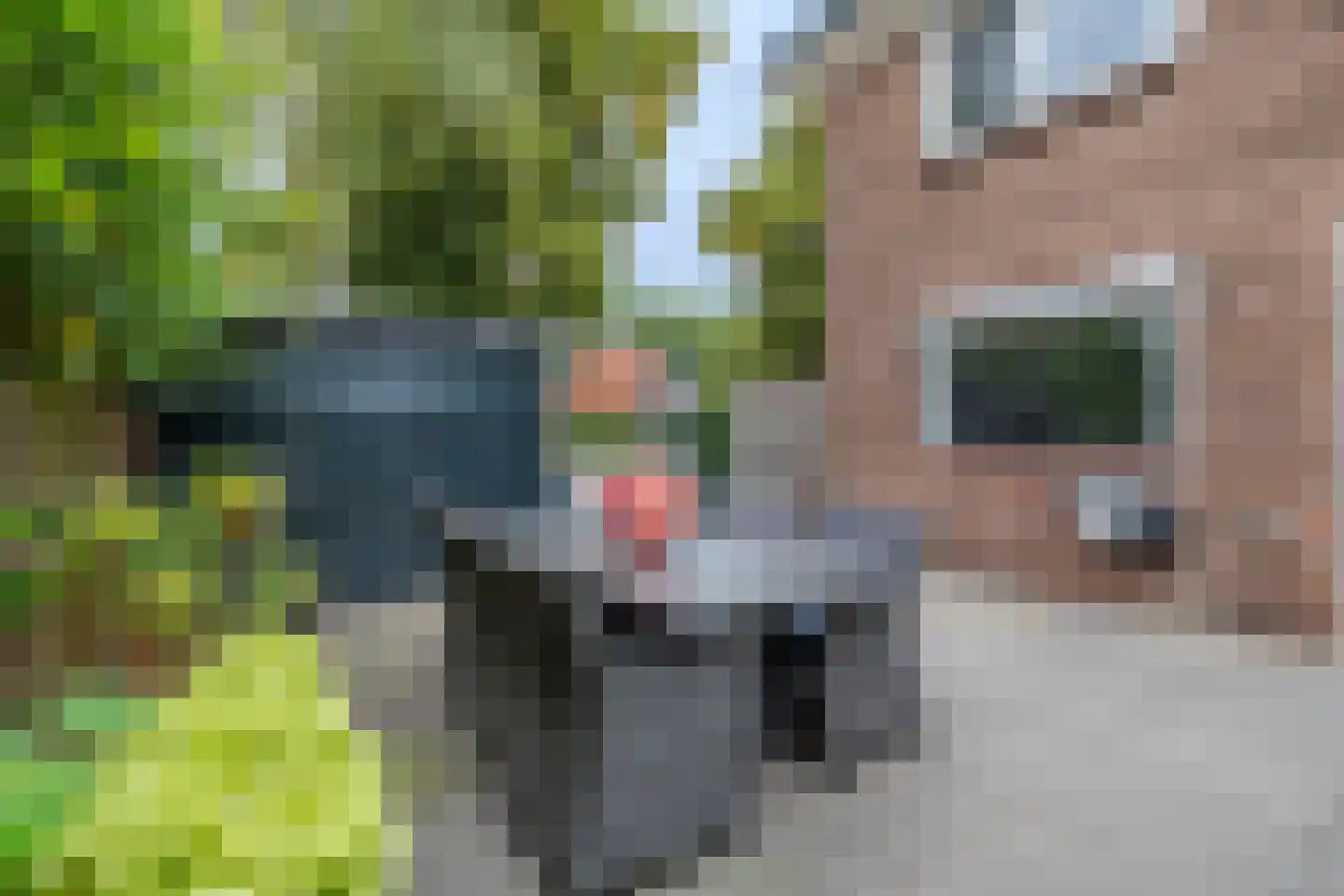 Vondellaan 38 Arnhem thumbnail 31
