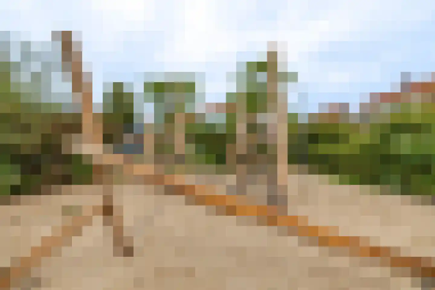 Vondellaan 38 Arnhem thumbnail 35