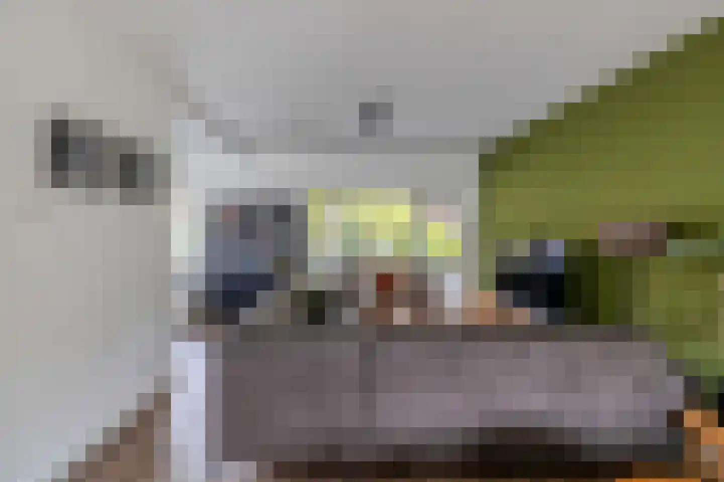 Vondellaan 38 Arnhem thumbnail 7