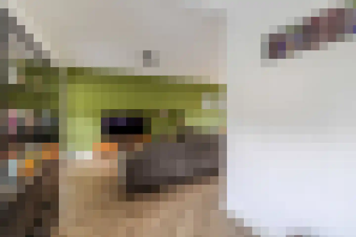 Vondellaan 38 Arnhem thumbnail 8