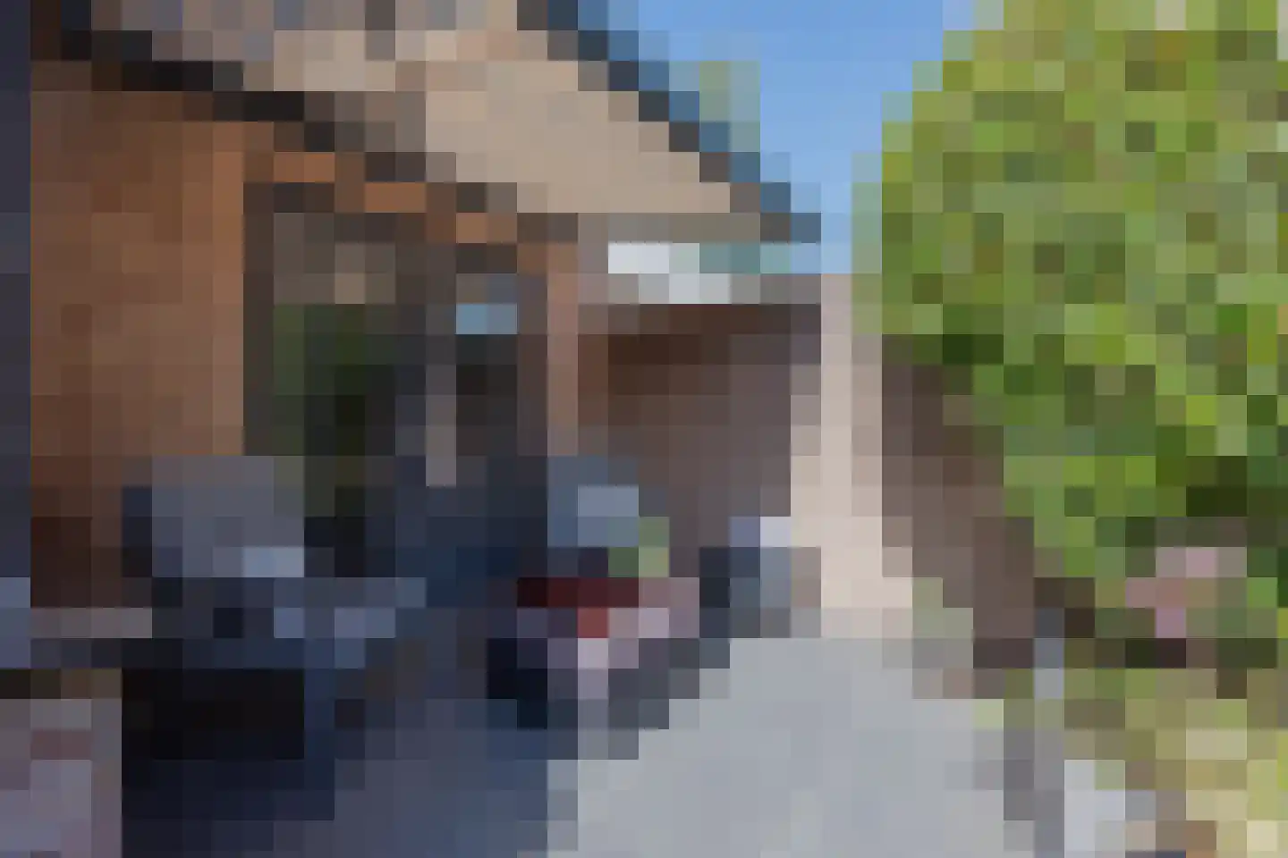 Vondellaan 39 Raamsdonksveer thumbnail 45