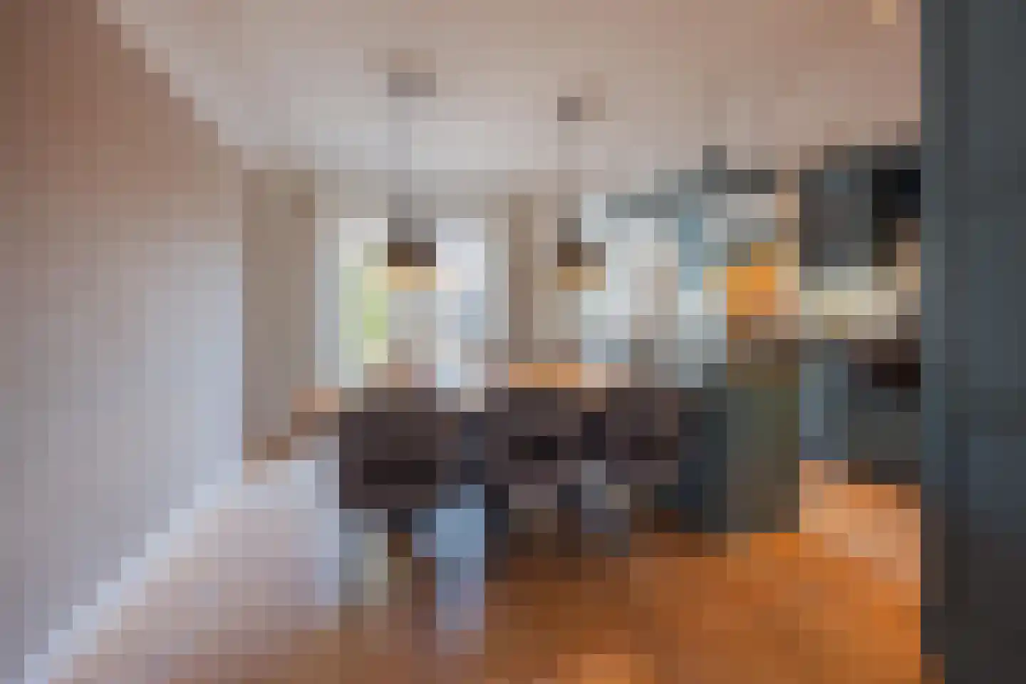 Vondellaan 39 Raamsdonksveer thumbnail 5