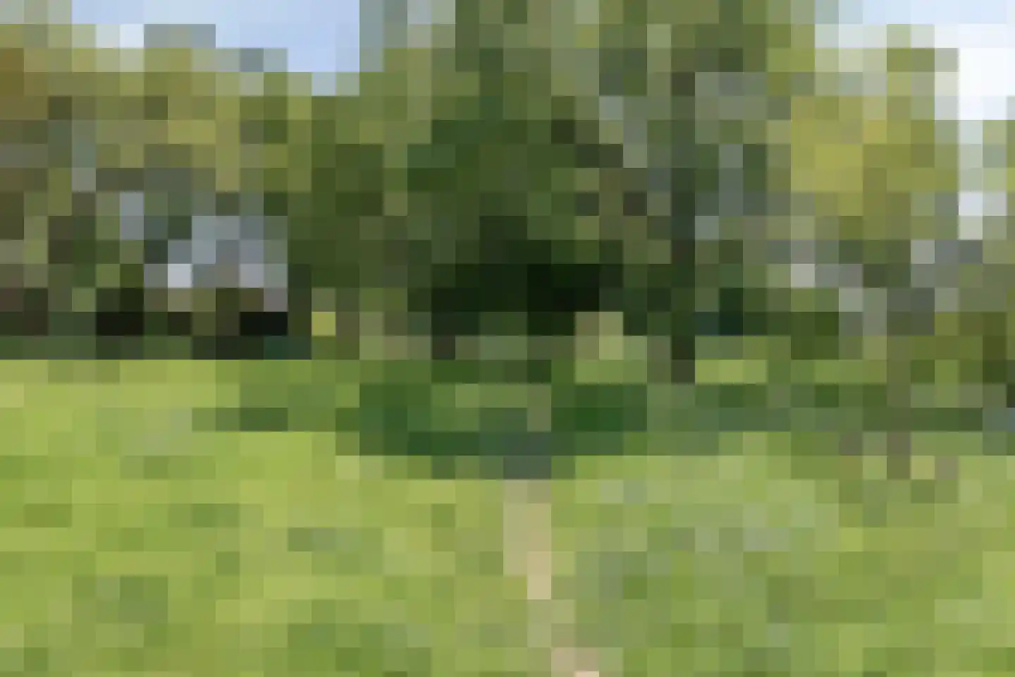 Vondellaan 39 Roosendaal thumbnail 30