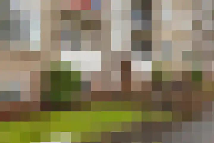 Vondellaan 394 Groningen thumbnail 10