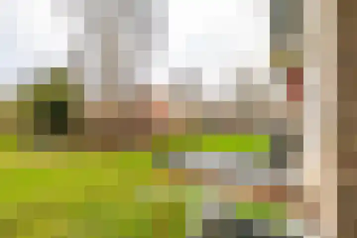 Vondellaan 394 Groningen thumbnail 24