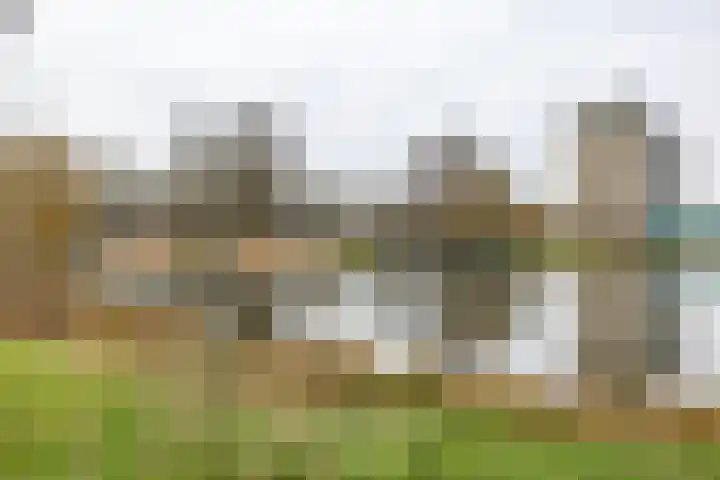 Vondellaan 394 Groningen thumbnail 7