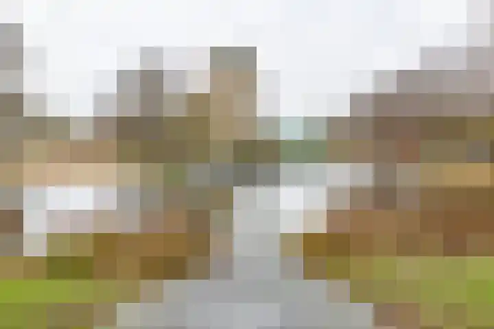 Vondellaan 394 Groningen thumbnail 8