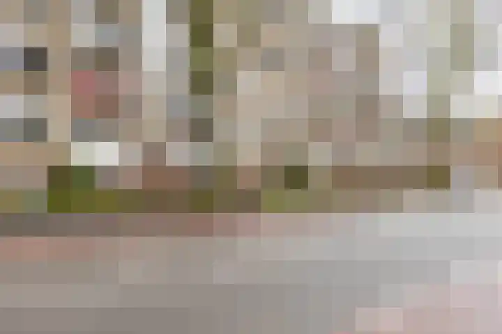 Vondellaan 394 Groningen thumbnail 9