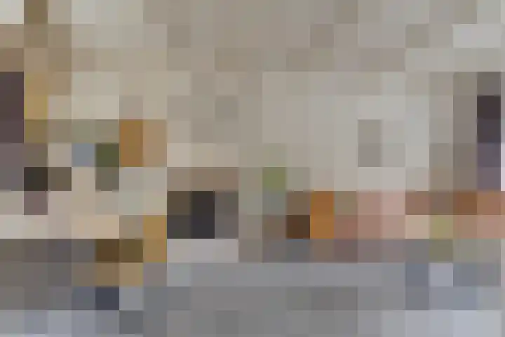 Vondellaan 4 Woudenberg thumbnail 10